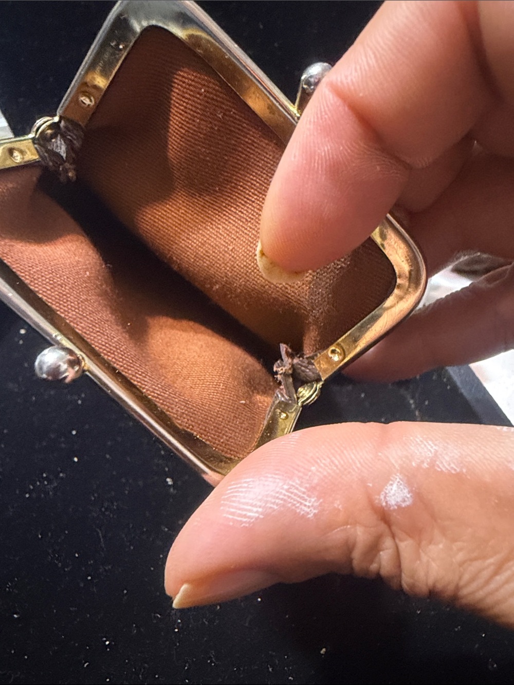 Louis Vuitton Monogram Clasp Eyewear Case in Brown and Gold - Picture 5 of 5